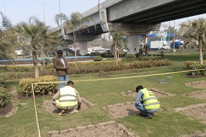 PhaLhr's tweet photo. وزیر اعلی پنجاب محترمہ مریم نواز شریف صاحبہ کے گرین پنجاب ویژن کے تحت پی ایچ اے لاہور کے ملازمین شہر میں شاہراہوں ، گرین بیلٹ اور پارکوں میں ہارٹی کلچر کا
کام کررہے ہیں ۔
@GovtofPunjabPK
@MaryamNSharif
@Marriyum_A
#lahore #green #horticulture #lahori https://t.co/udQma2BP4e