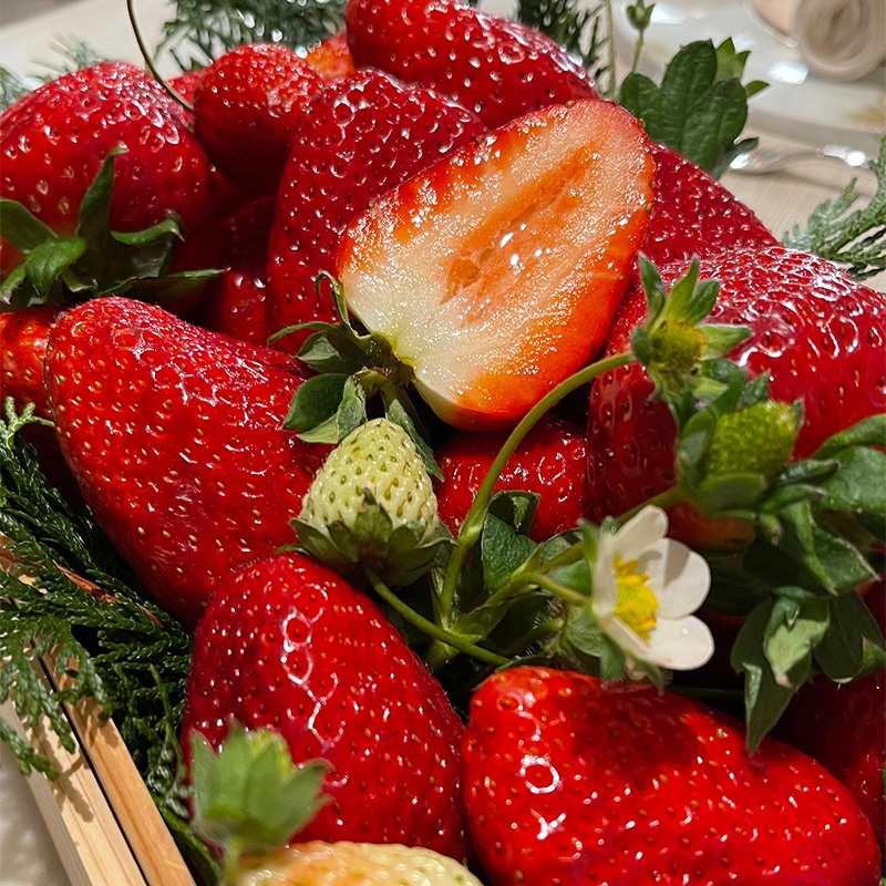 branchechocolat's tweet photo. ～『苺のカレ・オ・ショコラ』～ 
苺「古都華」をメイン食材に 🍓
バラ「ルージュロワイヤル」をアクセントに 🌹
 ベースとなるガナッシュは、ルビーチョコレートを使うことで自然由来の淡いルビー色に。 
ピスタチオを贅沢に使ったビスキュイの土台が、苺に寄り添います🍓 
🍫https://t.co/7i14pqfvnV https://t.co/i6hbYaLhIT