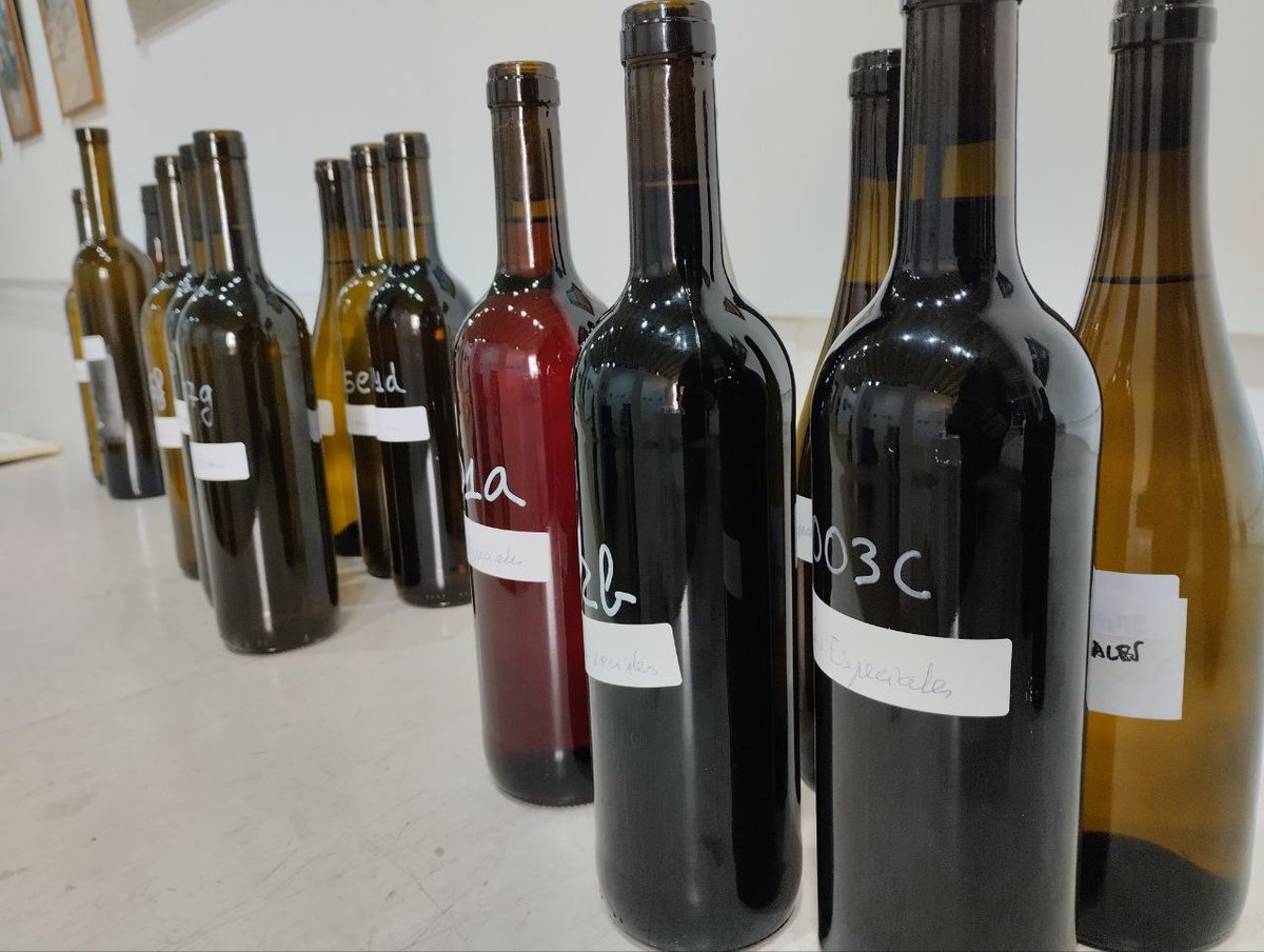 🍷🌊#VIMAR ha estado este finde junto a las bodegas andaluzas en el Concurso de Mostos de Sanlúcar de Barrameda

Gran nivel en las tres categorías de vinos jóvenes👏

🥉Orgullo para <a href="/BPrivilegio/">Privilegio del Condado</a>, presente en las 4 ediciones de VIMAR, que vuelve al podio por tercer año consecutivo