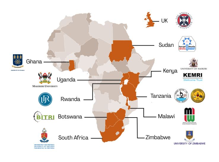 Tiba Partnership tweet media