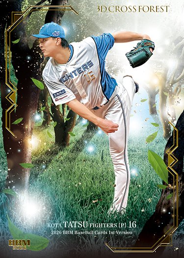 プロ野球選手 アルバム カード