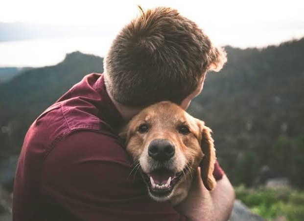 Muslims in Europe and America don't want to see dogs kept as pets. They've given us an ultimatum: choose Muslims or choose dogs. It's a very easy choice.