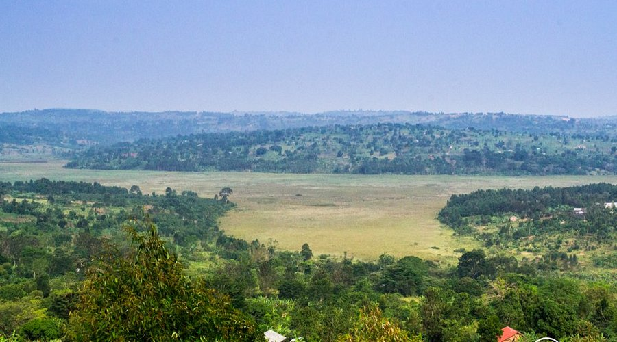 kat_festo's tweet photo. This is Masaka City, 132km from Kampala on the equator highway, given city status in 2020, and shines with clean, organized streets and a peaceful vibe. The growth here shows what urban planning can deliver.
The push on roads &amp; services is paying off... #GoldenPosts https://t.co/NQ4Zk0YPj1