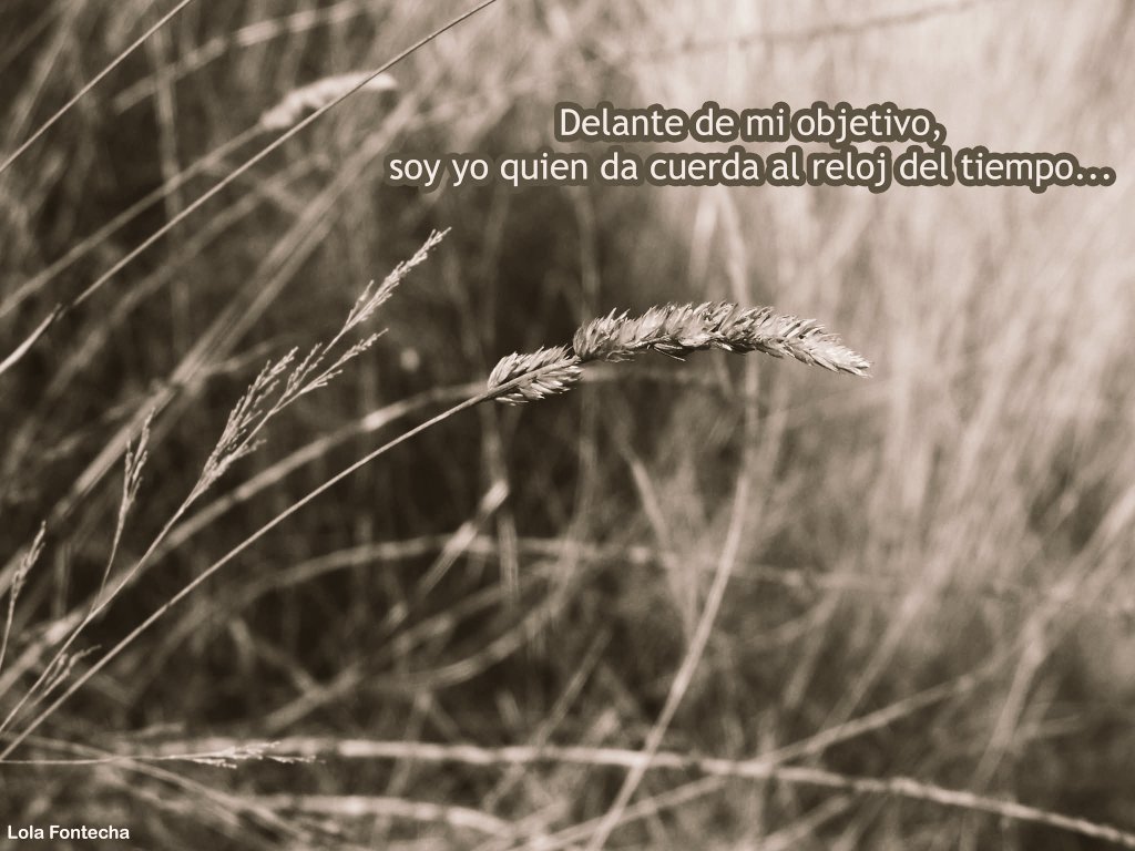 lola Fontecha (@lofohe) on Twitter photo 