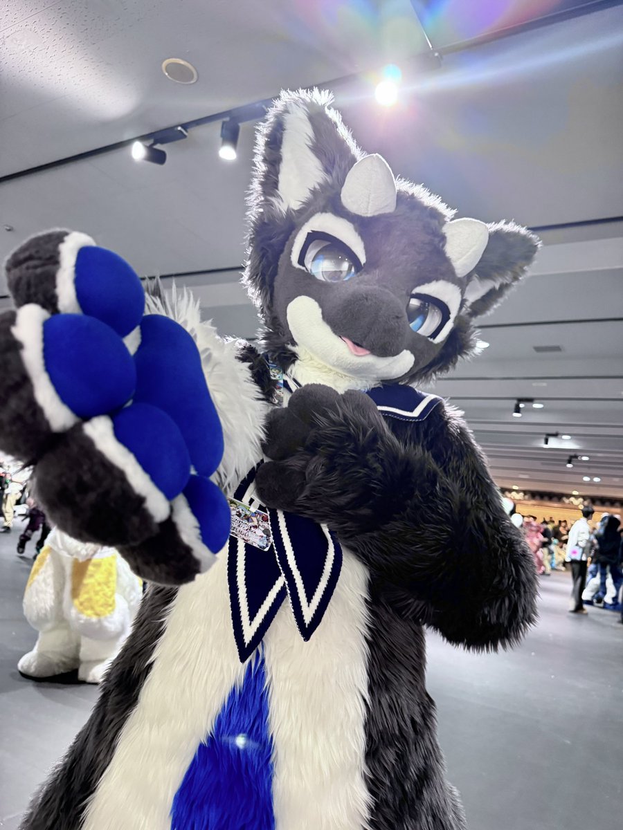 一緒に行こう！