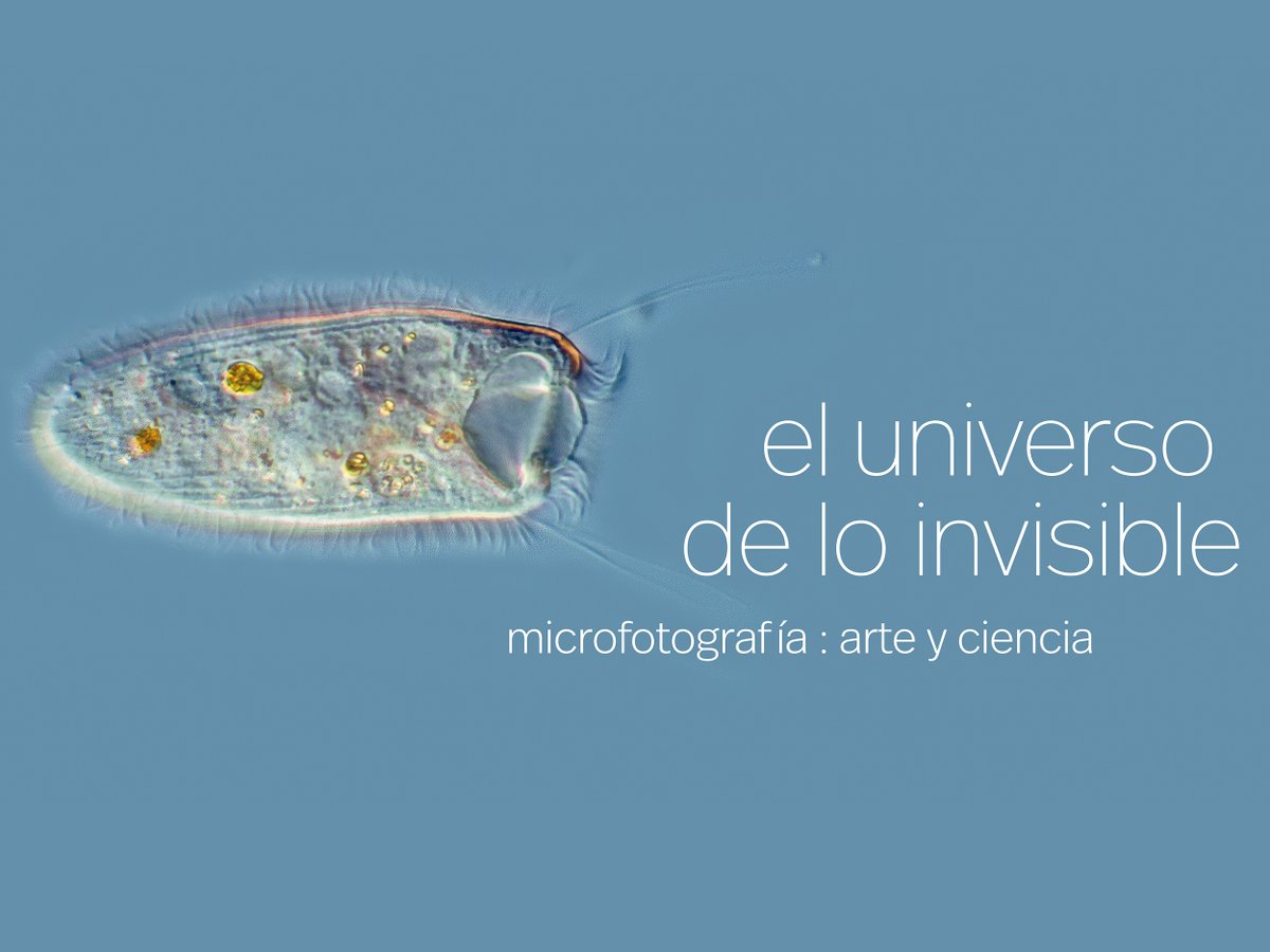 Hasta el 24 de marzo se podrá visitar la exposición temporal “El universo de lo invisible. Microfotografía: arte y ciencia” en  Logroño, sobre la historia de la microscopía y la fotografía microscópica. Cuenta con la colaboración del MAH SEN:  mah.sen.es/index.php/comp…
