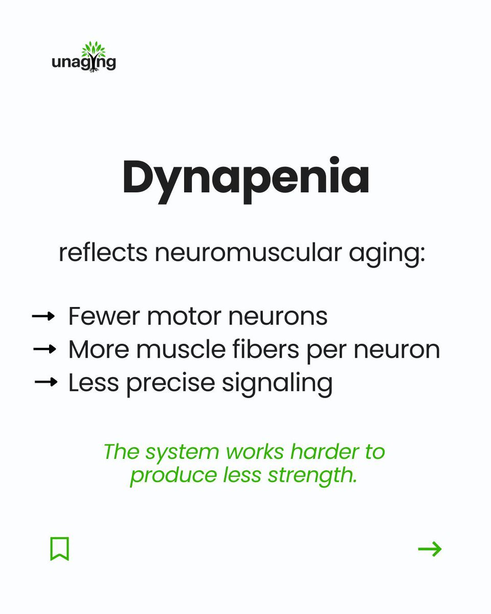 Dynapenia = strength loss without major muscle loss.
Aging affects the nervous system as much as muscle.

Training still helps.
Understanding the biology helps more.

Full blog: unaging.com/aging/the-hard…  

#LongevityScience #HealthyAging #Healthspan #AgingResearch