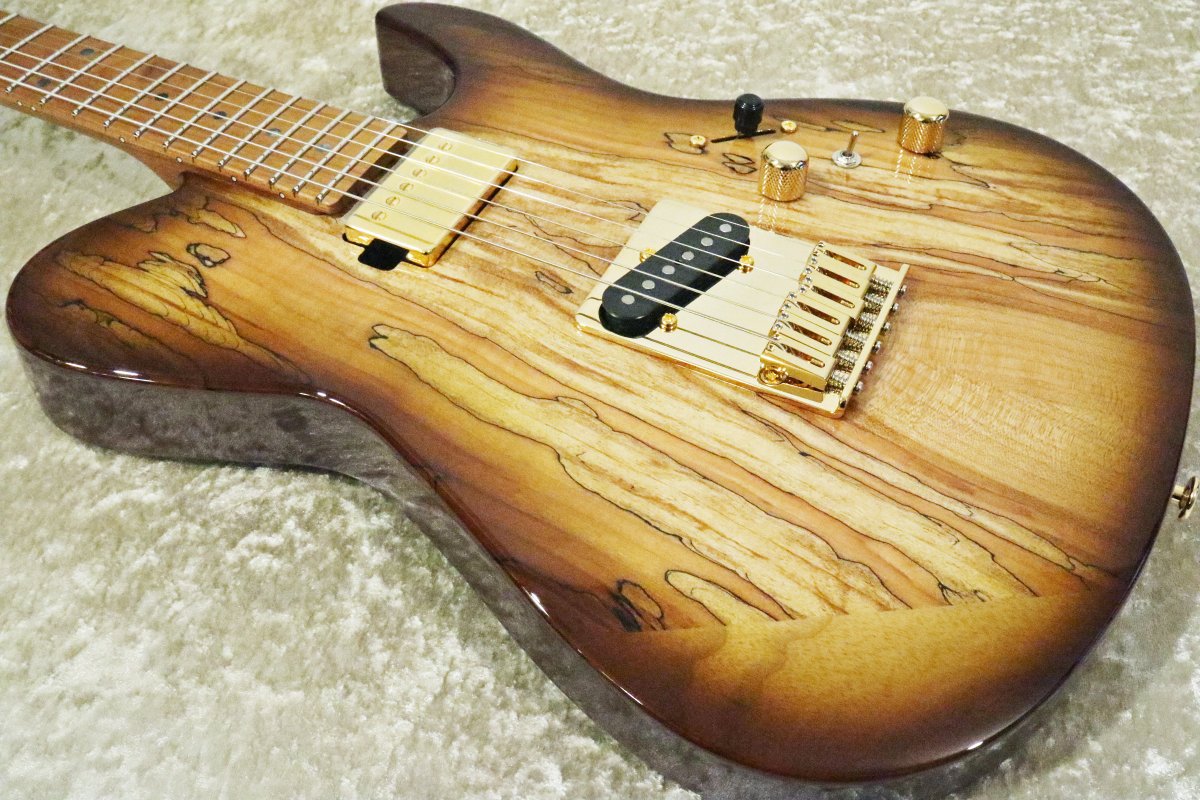 FUJIGEN フジゲン ストラトタイプ アーム欠品 カスタムハウス