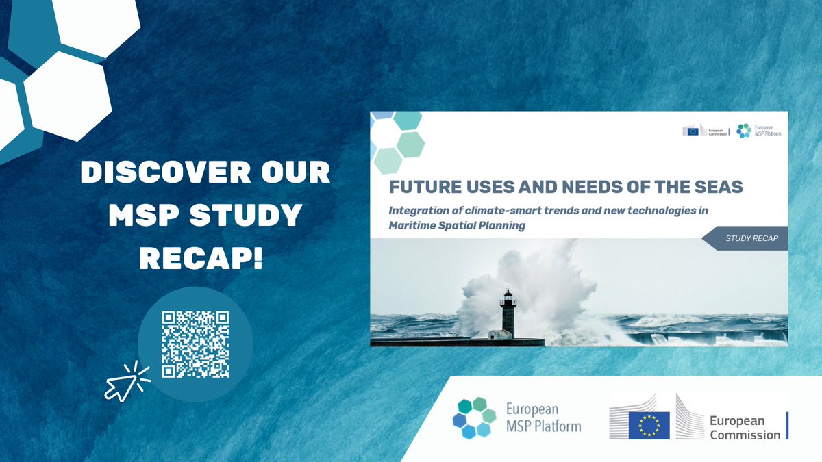 EU MSP Platform tweet media