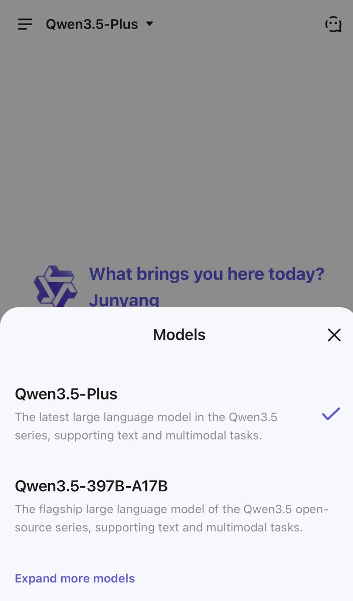 Plus vs 397B selector