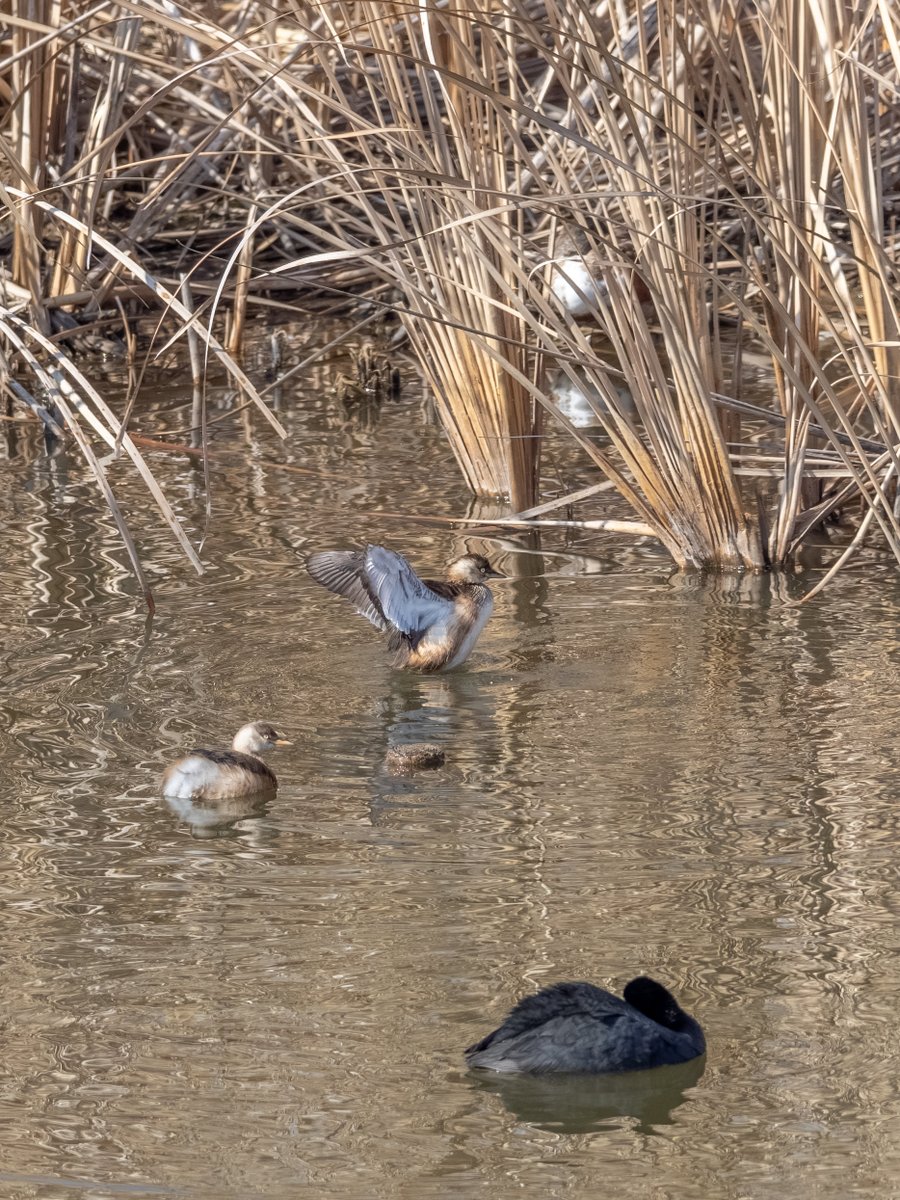 PhotoWalkman tweet media