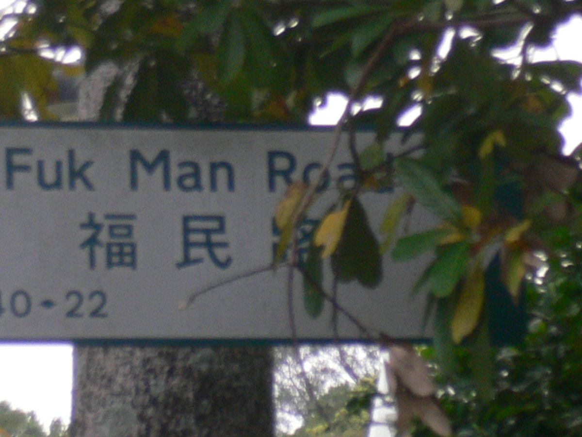 gerryelma's tweet image. #PMJWeeklyChallenge

 #TuttingTypography