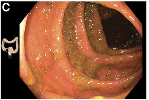 Ross 🧬🔬 tweet media