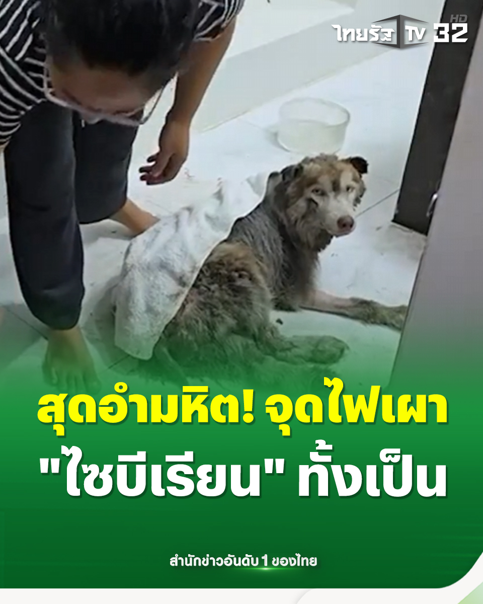 ThairathTV tweet media
