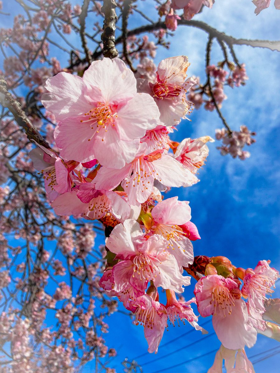 Š💜❤️ tweet media