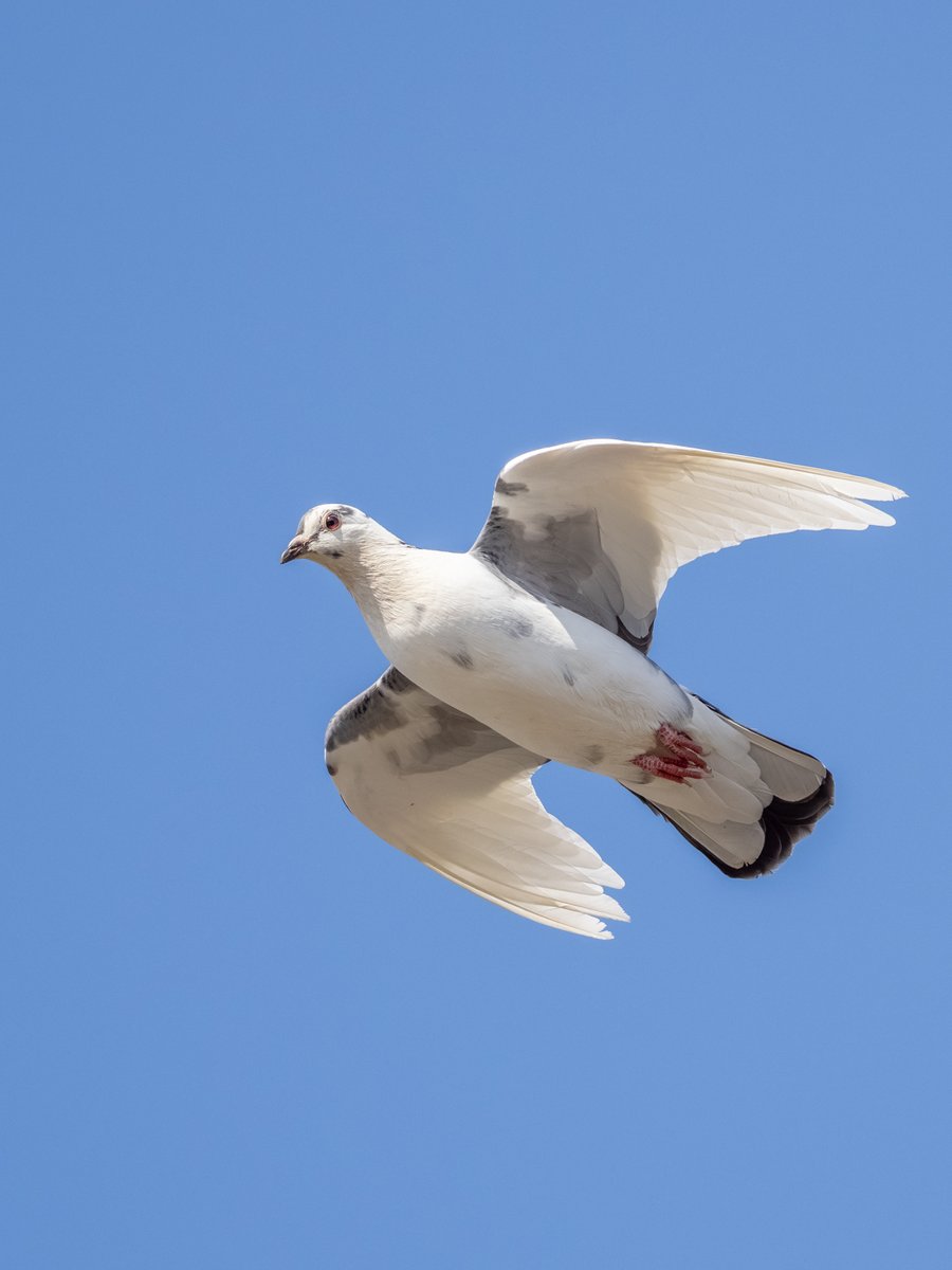 PhotoWalkman tweet media