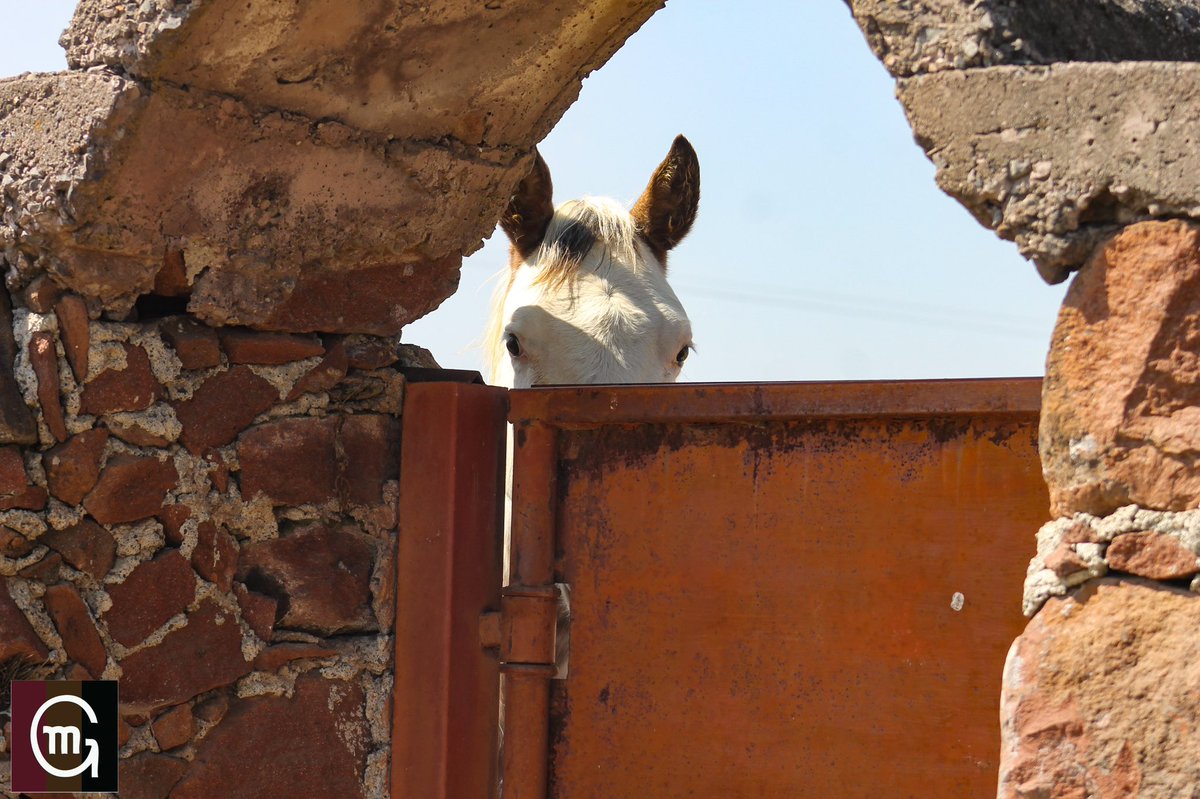Pendiente de los vecinos de potrero. Que tengan todos una muy buena semana.
