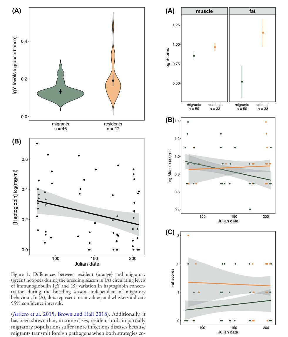Mercè Palacios tweet media