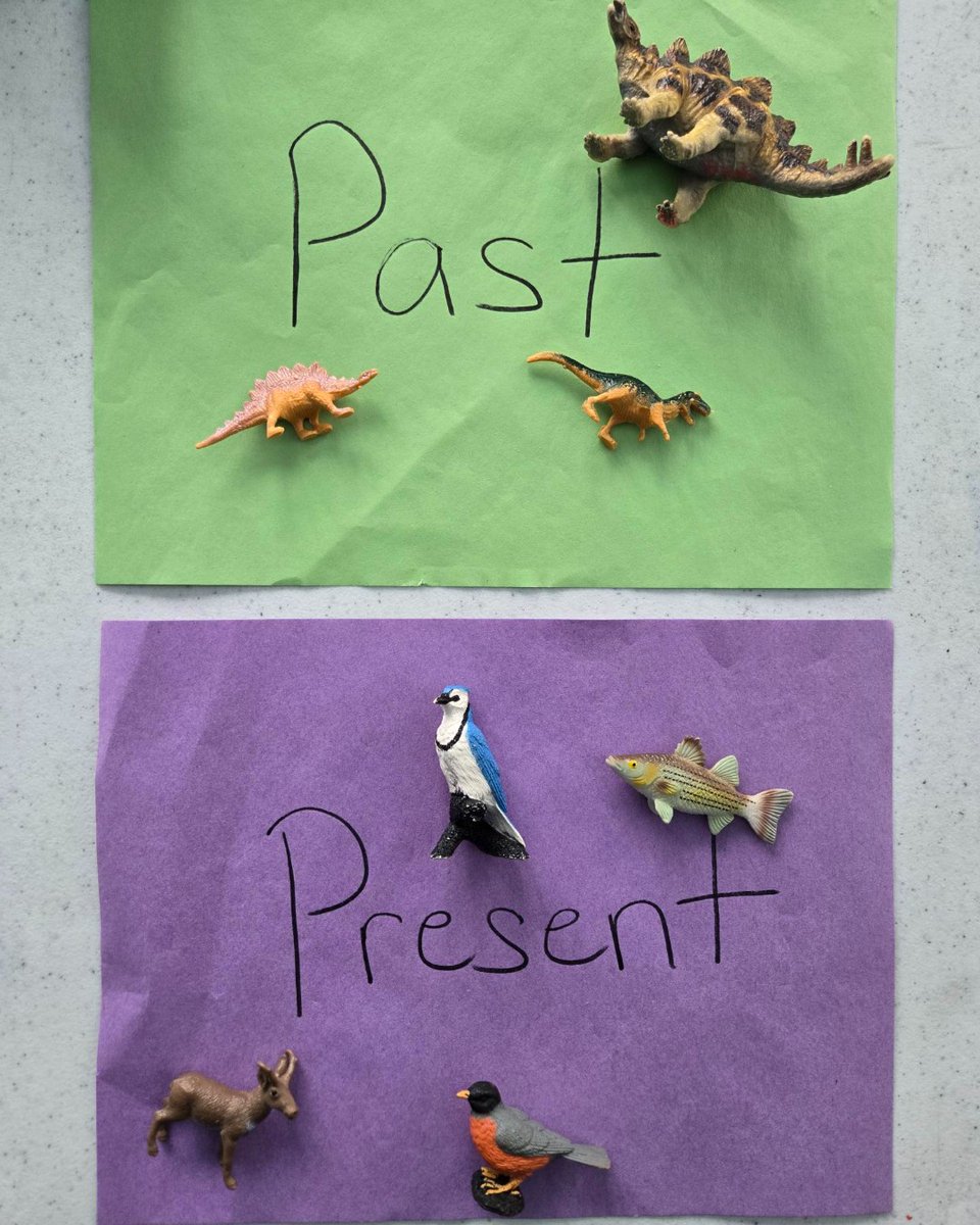 ShakerLakes tweet media