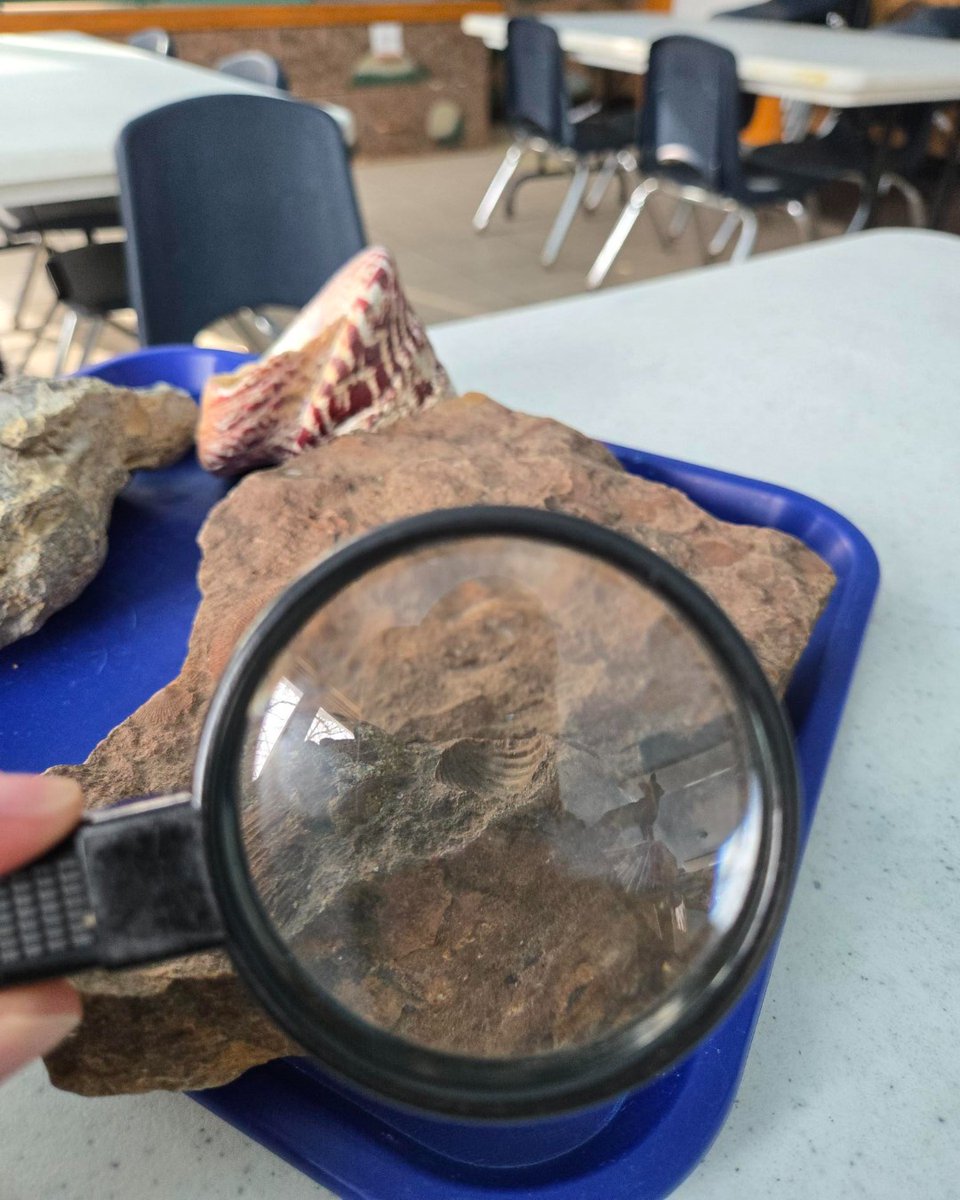 ShakerLakes tweet media