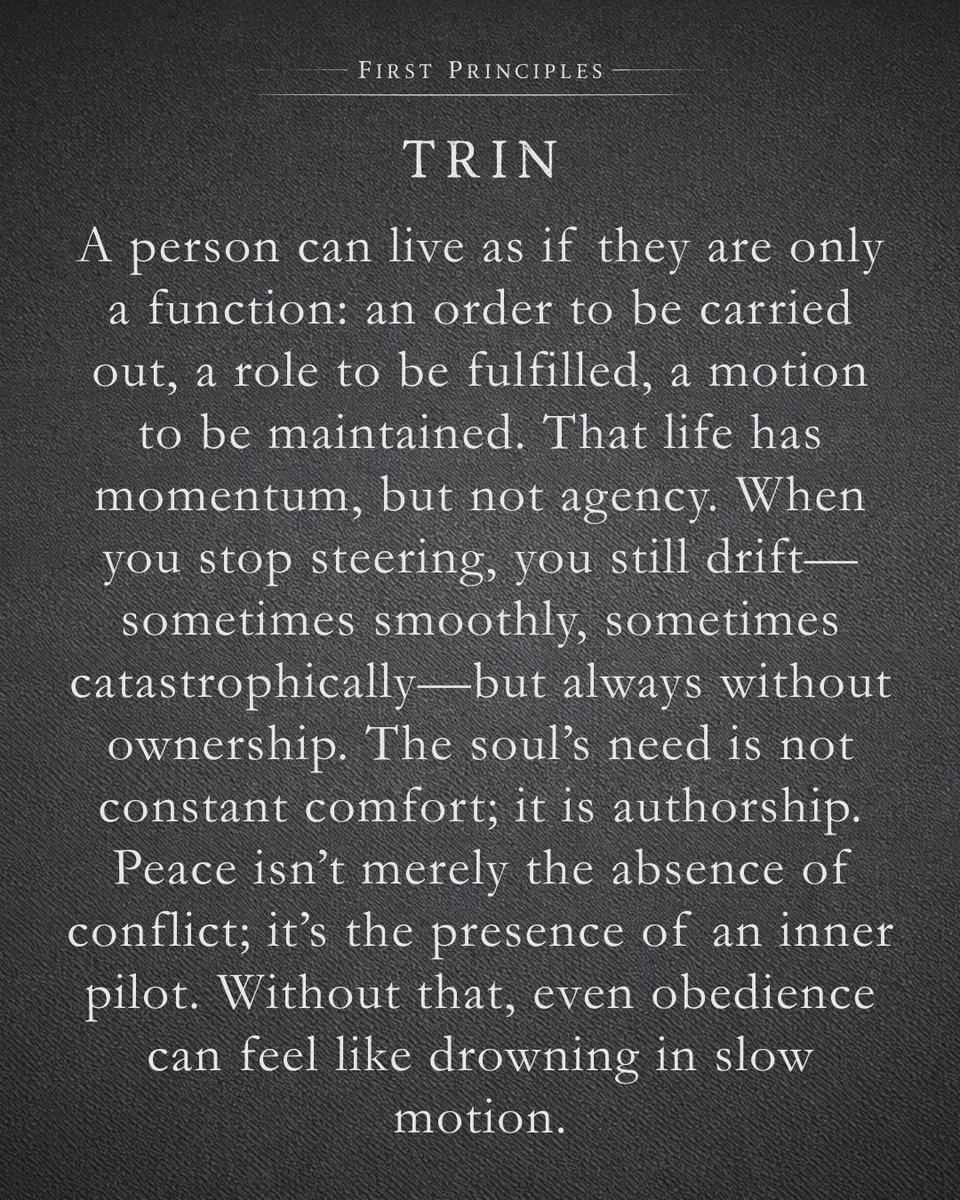 A person can live as if they are only a function: an order to be carried out, a role to be fulfilled, a motion to be maintained. That life has momentum, but not agency. When you stop steering, you still drift—sometimes smoothly, sometimes catastrophically—but always without...