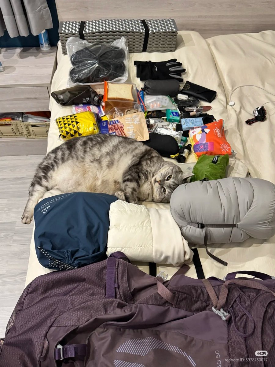 Things i need for vacation