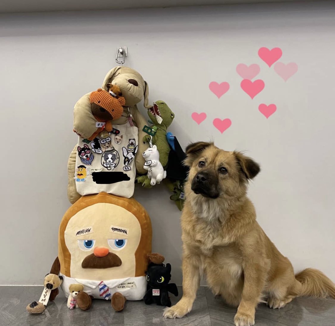 우댕댕 tweet media