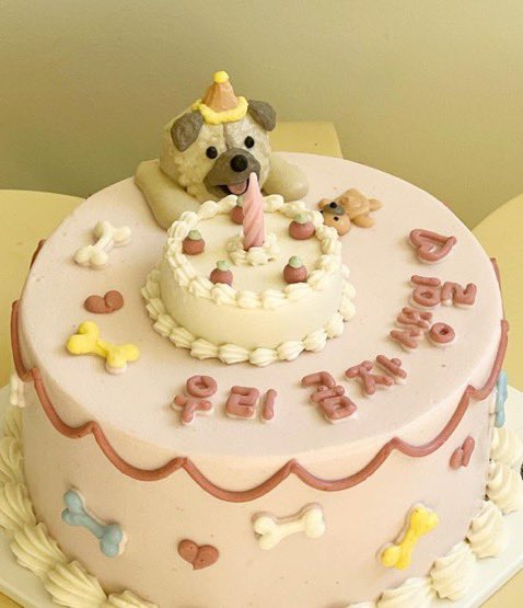 우댕댕 tweet media