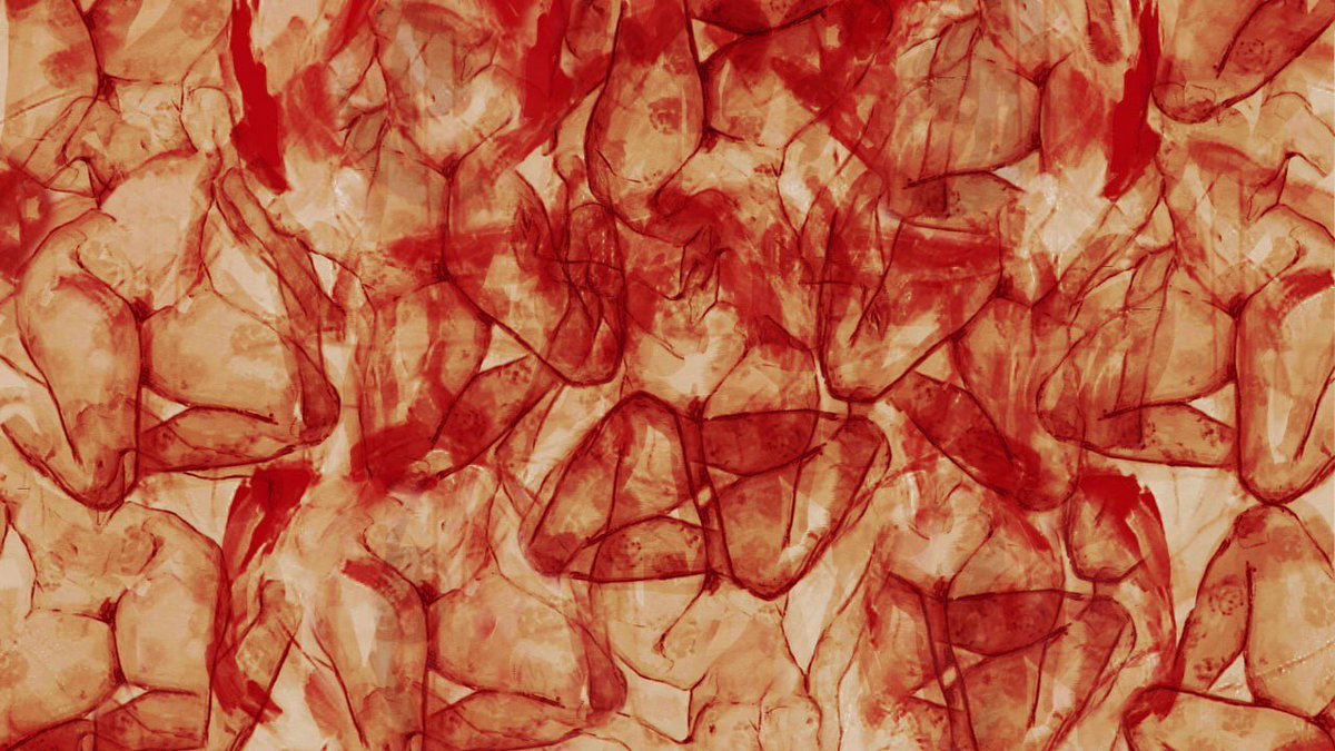 𝗡𝗨𝗦𝗛 tweet media