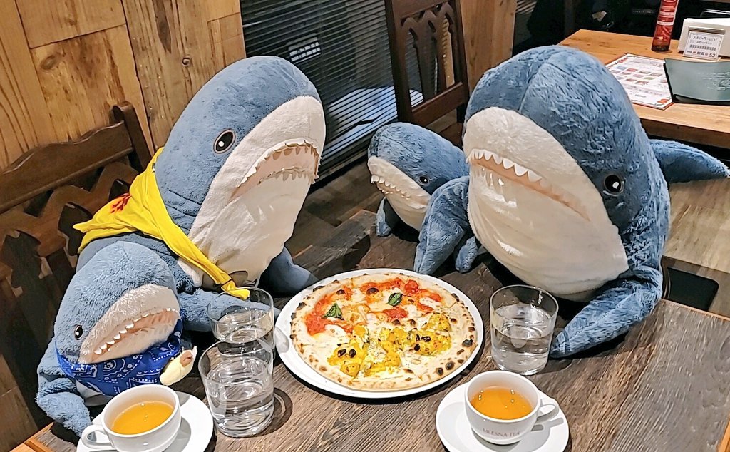 IKEAのサメ用アカ@ワタザメ tweet media