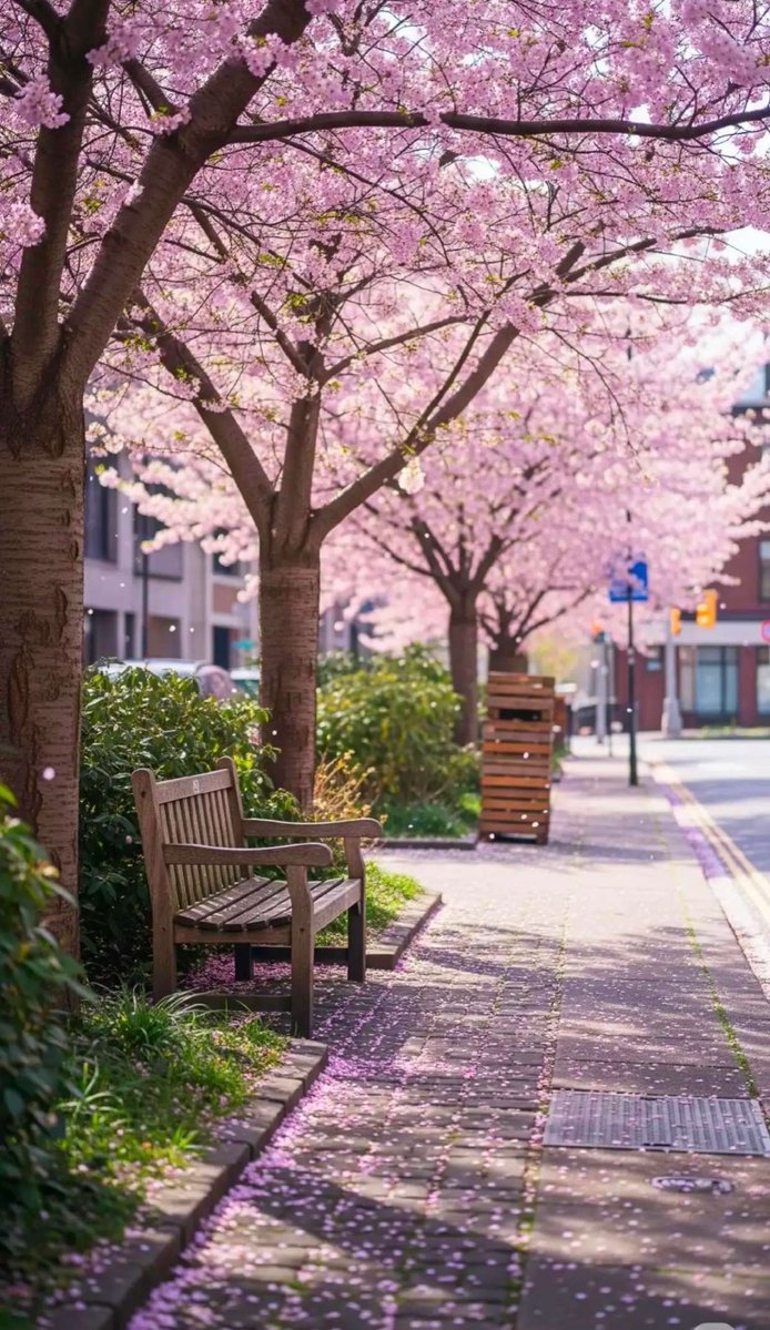 Sary_q8's tweet image. نظامي الجديد :
تسعدني أسعدك / تزعلني أزعلك .. وهذا ملعب وذاك ملعب وين ما تريد احنا نلعب 🕺🏻 

📍
서울 한국 스크린