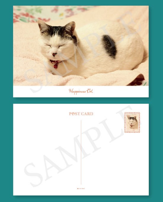 モコはシアワセ♡シアワセ ポストカードになりたーーいにゃん♡