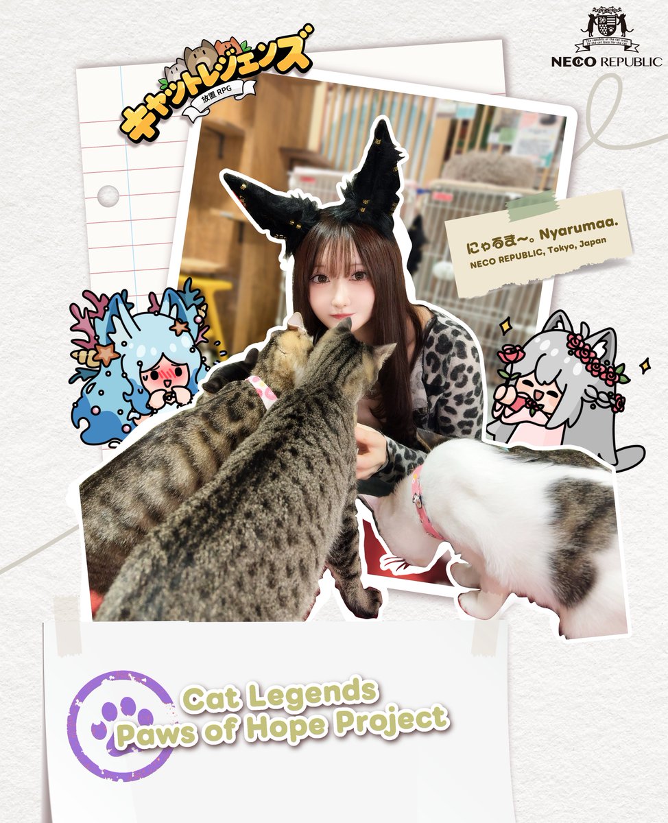 Cat Legendsのみんなと一緒に保護猫カフェ【Neco Republic】に遊びに行ってきたよ𛰙᭜𖫴𖫰𖫱𖫳𖫲𖫲𖫳𖫴𖫰𖫱꛰ᴜ᭜𖫴𖫰𖫱𖫳𖫲𖫲𖫳𖫴𖫰𖫱꛰ಣ✧︎*。
 
甘えんぼだったり、個性的だったり、たくさんの猫ちゃんたちが本当に可愛くて、圧倒的癒し空間…🤍ྀི
 
Neco
