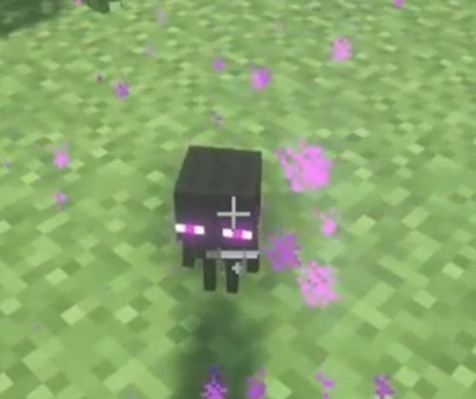 xxxbacl's tweet image. fluixon core