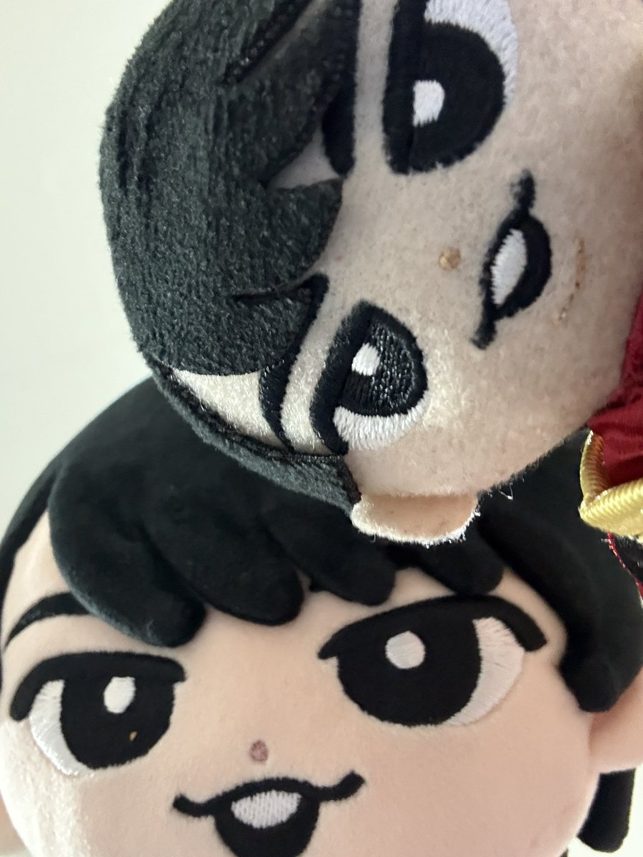 チルぬいセルフィー📸