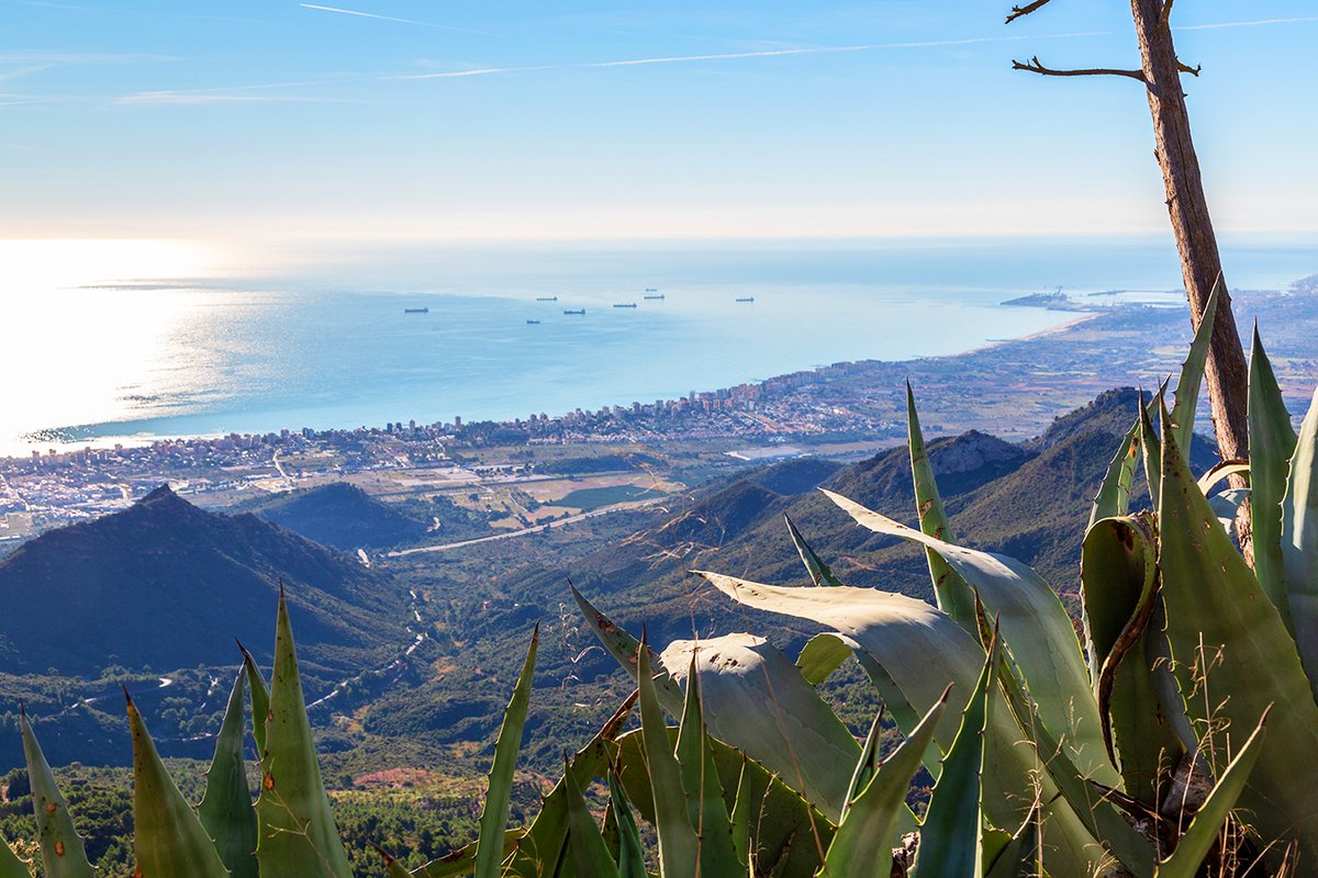 AirNostrumLAM's tweet photo. ¿Sabías que el Desierto de las Palmas de #Castellón no es un desierto como tal?

Su nombre proviene de los antiguos Carmelitas Descalzos que se retiraban a este paraje para vivir en soledad y oración. Hoy, es uno de los espacios naturales más emblemáticos de #Castellón. 

Entre montañas, senderos y miradores con vistas al #Mediterráneo, este parque natural ofrece paisajes únicos y una conexión total con la #naturaleza. 

Si buscas una escapada diferente, no pierdas la oportunidad de descubrir este rincón donde historia y naturaleza se unen en cada paso.

#airnostrum #iberiaregional #conectamosregiones #castellón #desiertodelaspalmas #naturaleza #senderismo #volar #viajar