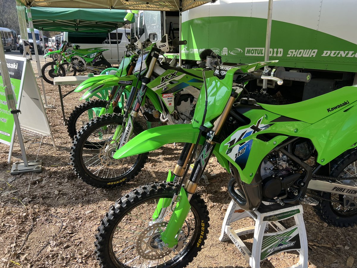 ピュアテック 皇帝ペンギン様 tweet media