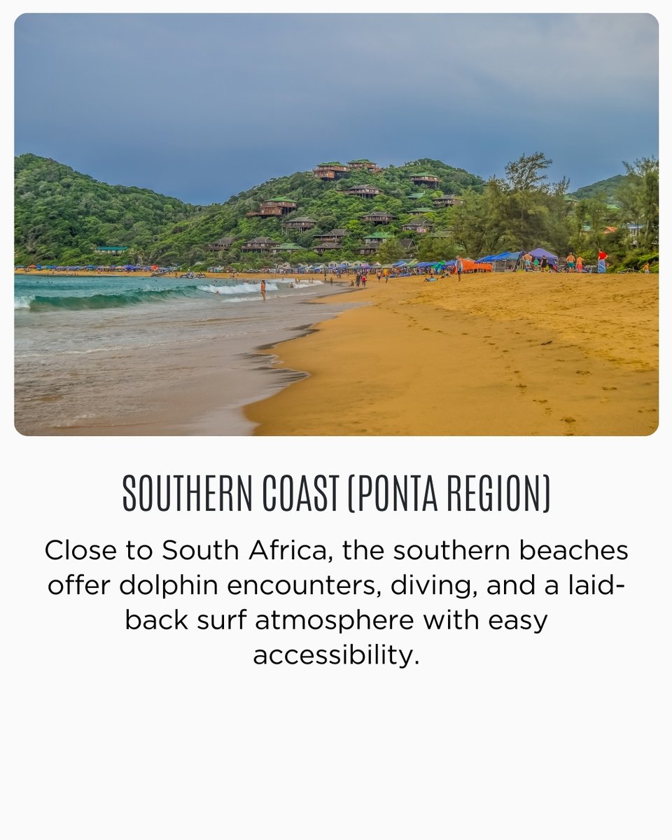 AfricanTravelCo's tweet photo. Mozambique’s beach regions each offer a unique coastal escape.

→ Save for later

#mozambique #travelwithatc #africantravelconcept #atc https://t.co/sJtUufnaBu