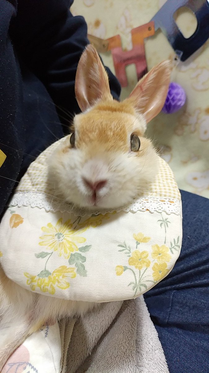 いつもありがとー♡