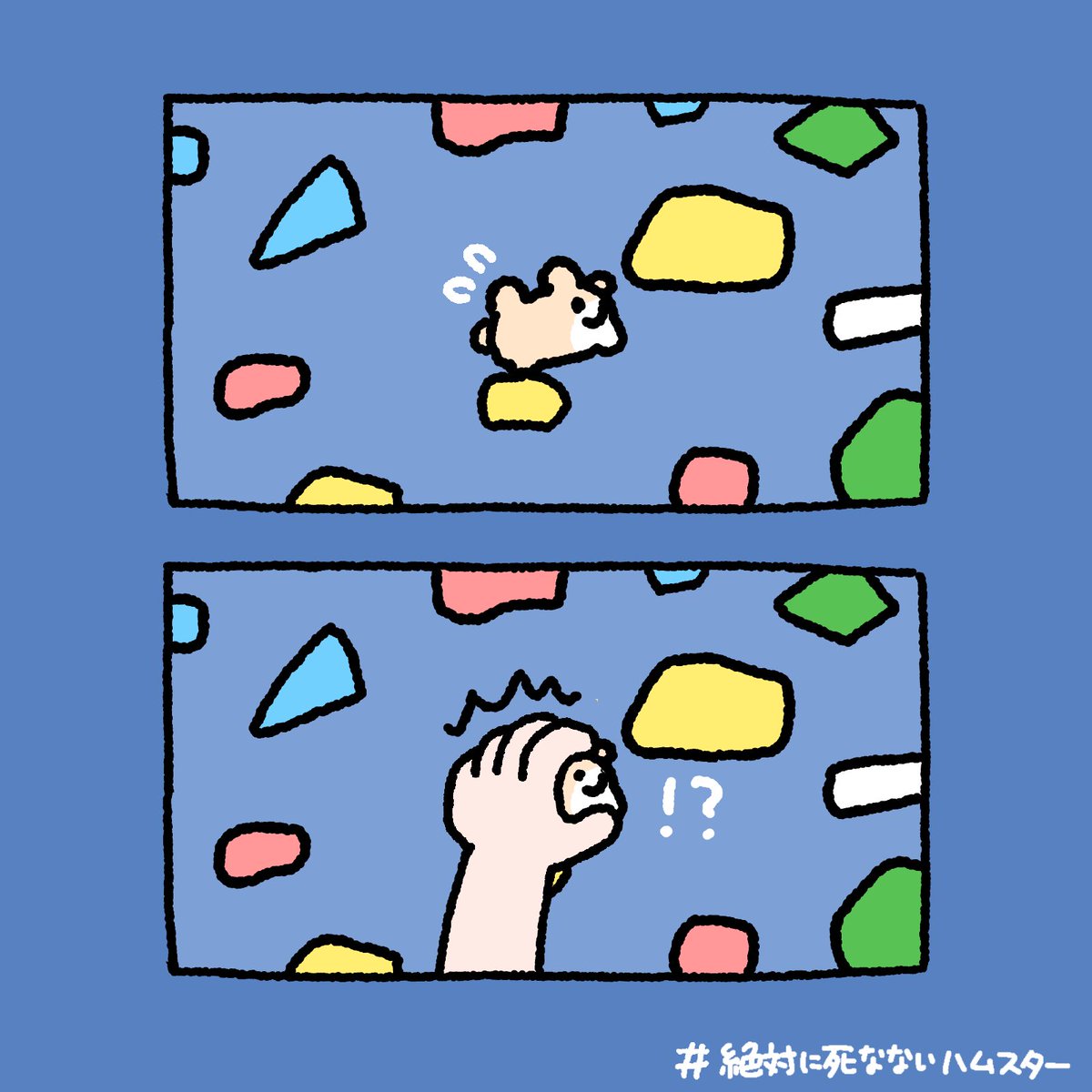 ボルダリングハムスター