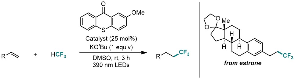 Mita Group_ICReDD, Hokkaido University tweet media