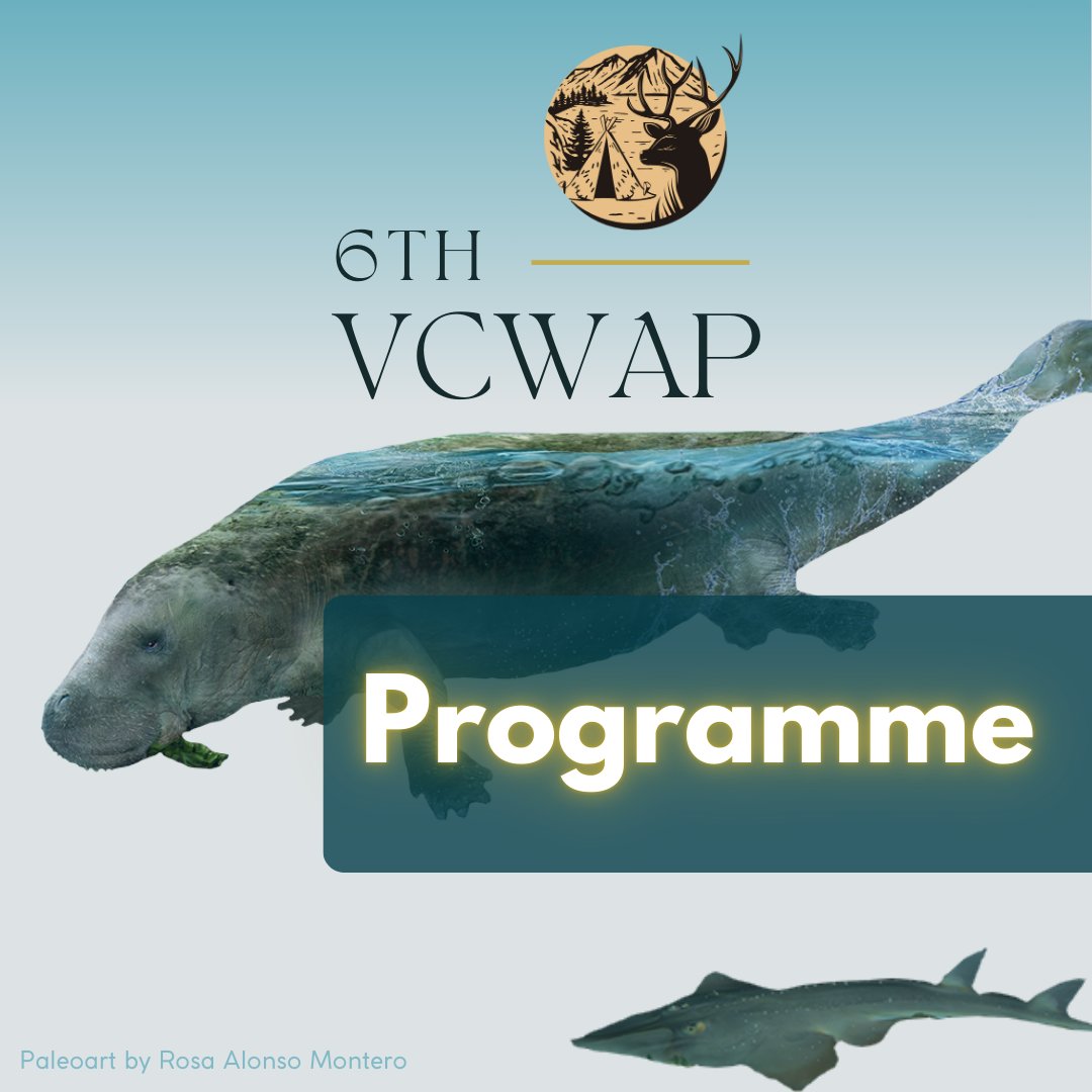 Virtual Conference For Women Archaeo and Paleo tweet media