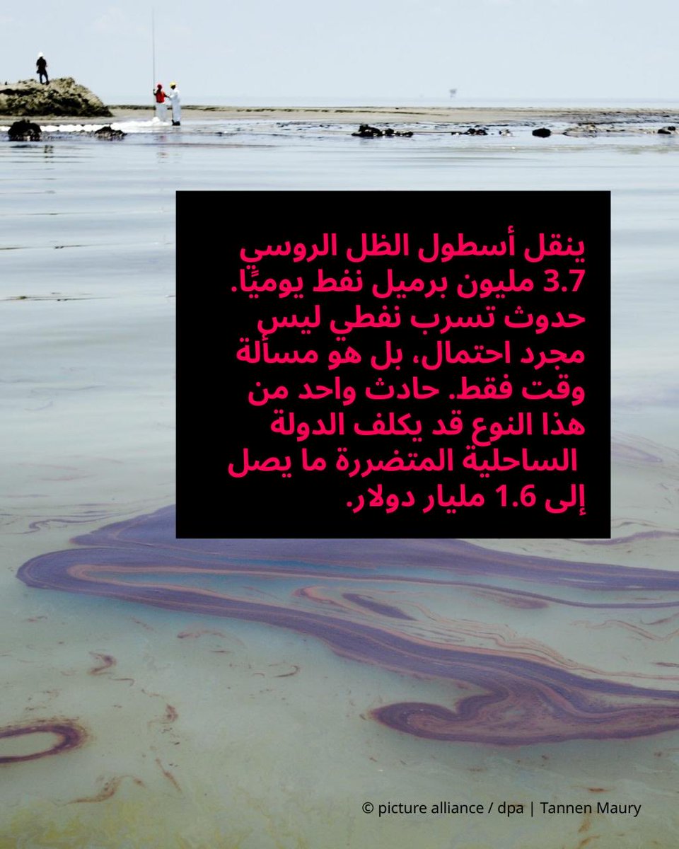 German Embassy Cairo tweet media