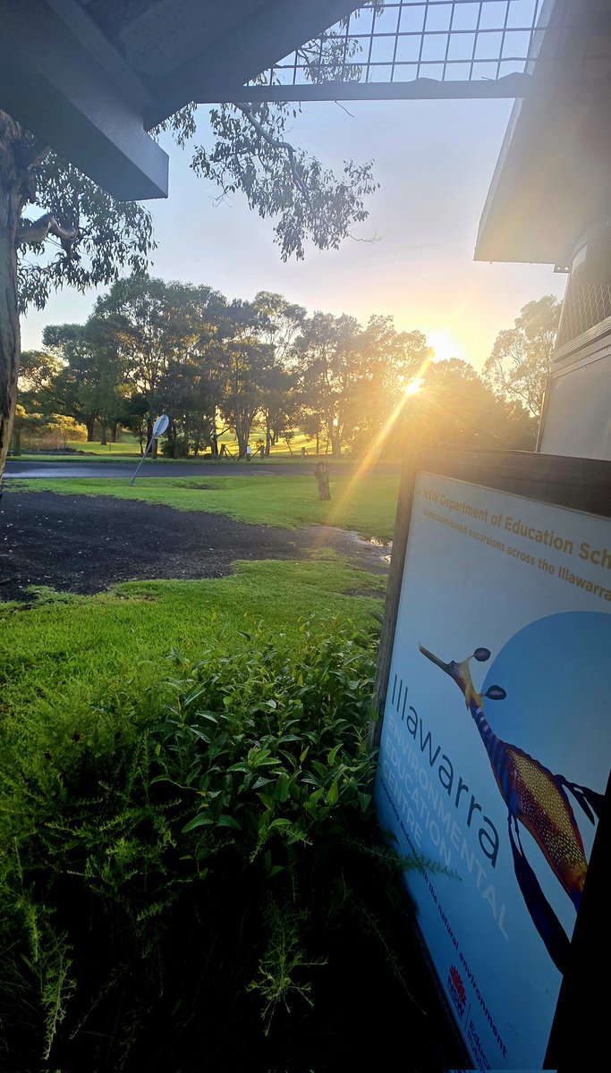 Andrew SMEE tweet media