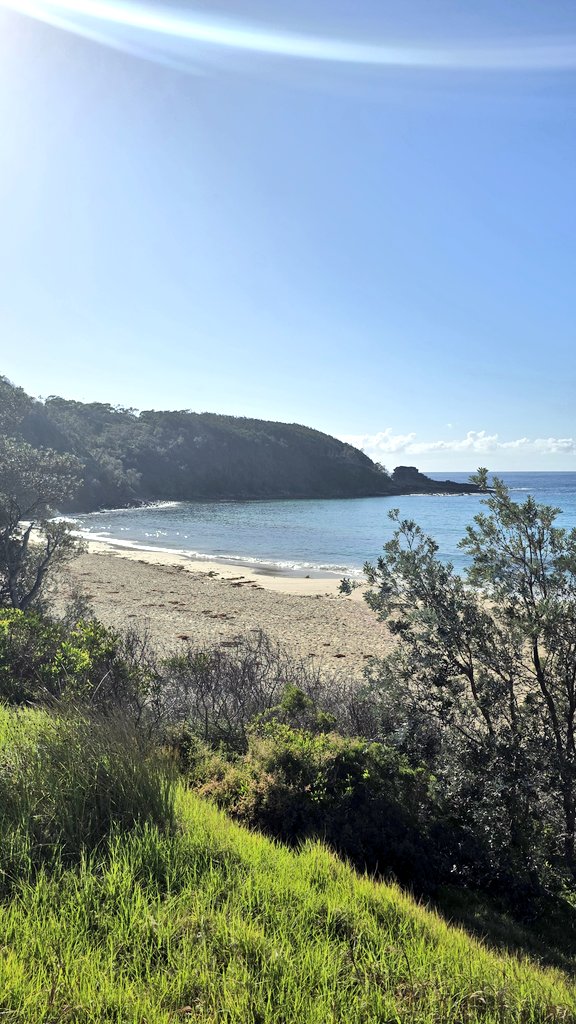 Andrew SMEE tweet media