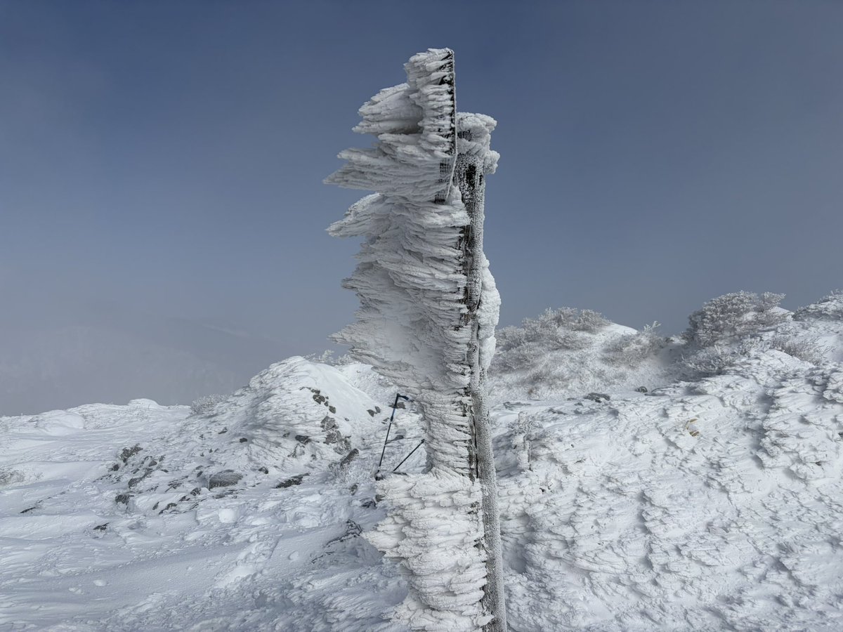 横から 登山界隈で俗に言うエビの尻尾🦐