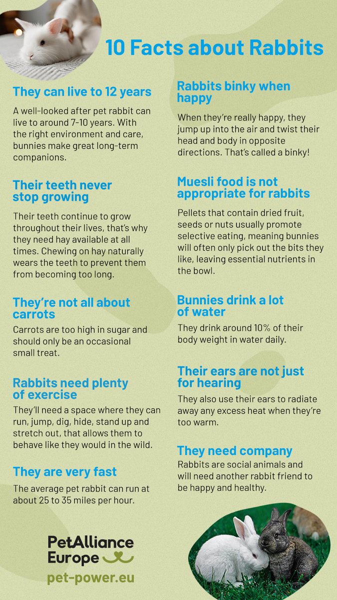 PetPowerEU tweet media