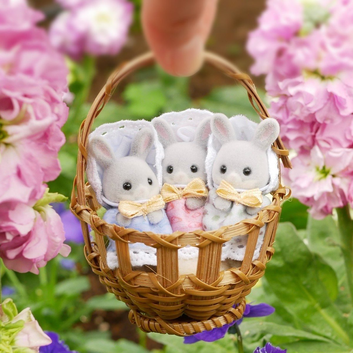 ひよこ🐣 (@h1natan0h1y0k0) / Posts / X