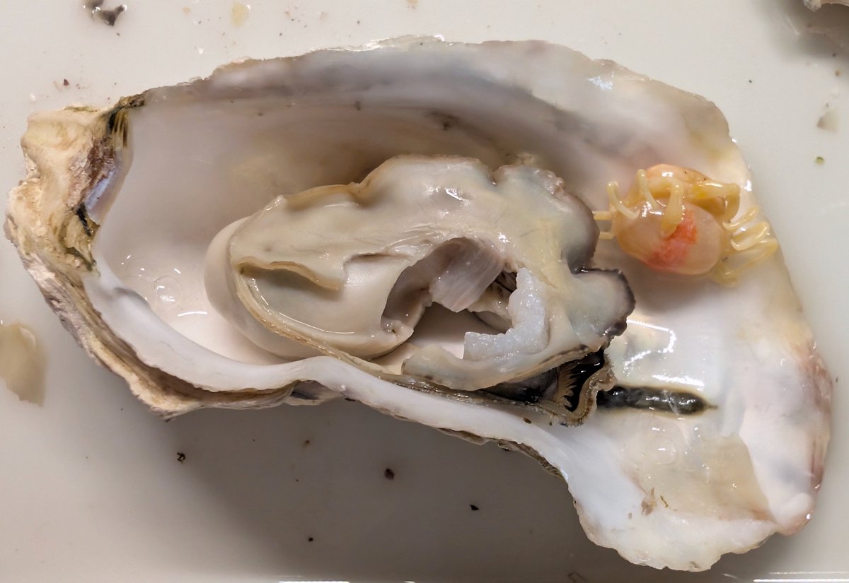 Tai / JOTAKI Taisuke / JF6GHK /🍺 tweet media