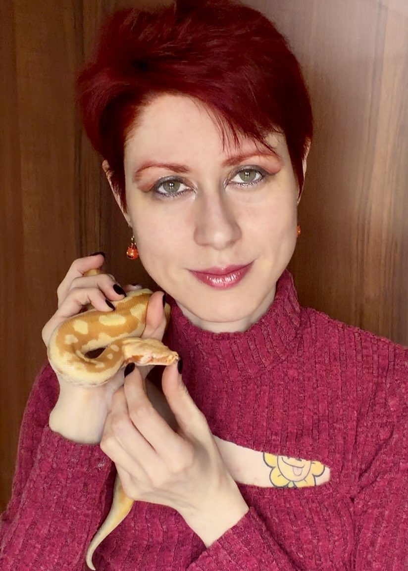 PhenrirMailoki's tweet photo. Ultima foto con un altro pitone, femmina, un anno più giovane
#python #snake #pythonbrongersmai #bloodpython https://t.co/8P4fHo3JbK